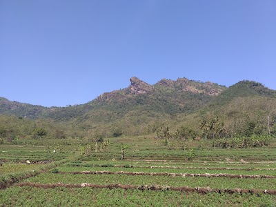 Photos of Bolak,sembukan