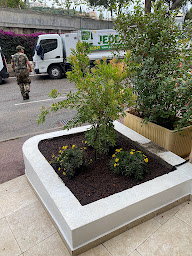 Photo n°15 de Jede Jardins à Nice (Service d'élagage)
