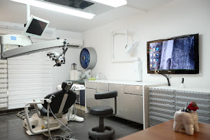 Photo n°3 de Dr Maurice HALOUA à Paris (Dentiste)