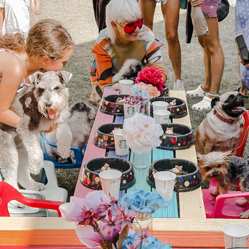 Pupcakes NZ - Thumbnail