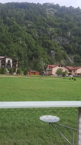 Bihor Remeti nr. 205, Remeţi 417113