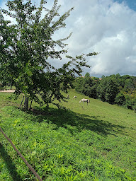 Photo n°4 de Aux 40 Écus à Puycornet (Gîte)