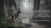 Culture Chien à Paris