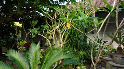 Photos of Eko Cimpling Cahaya TAMAN