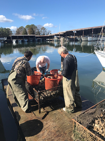 Double T Oyster Ranch by null