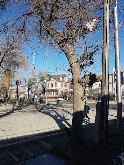 Photos of Parsha