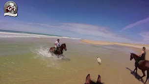 Photo n°2 de Les Sabots du Temple à Le Temple (Centre équestre)