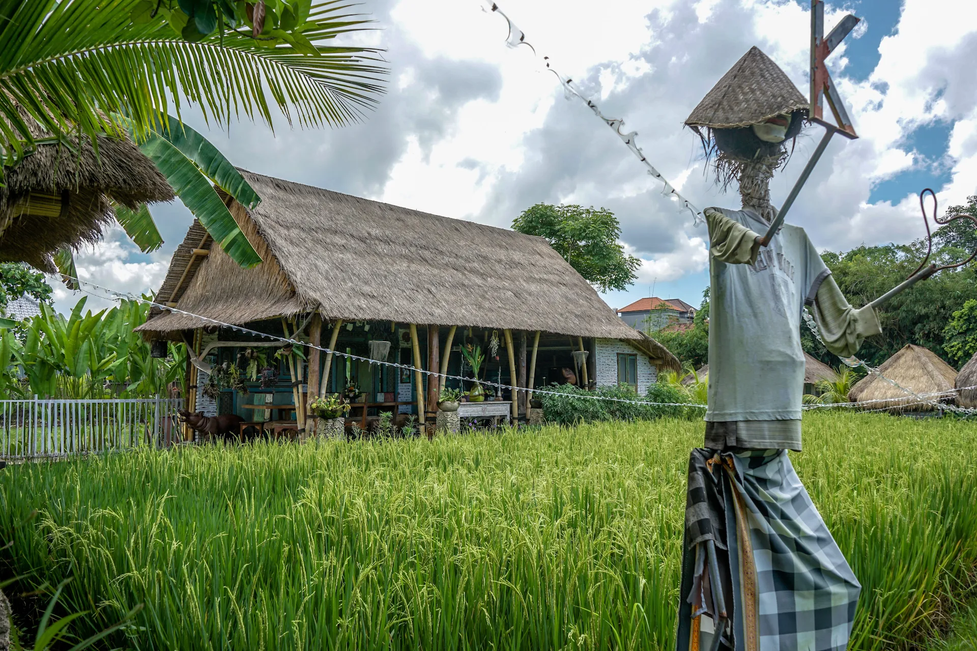 Katak Tepi Sawah Villas