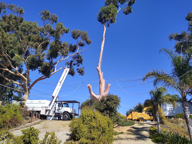 First Choice Tree Care Services