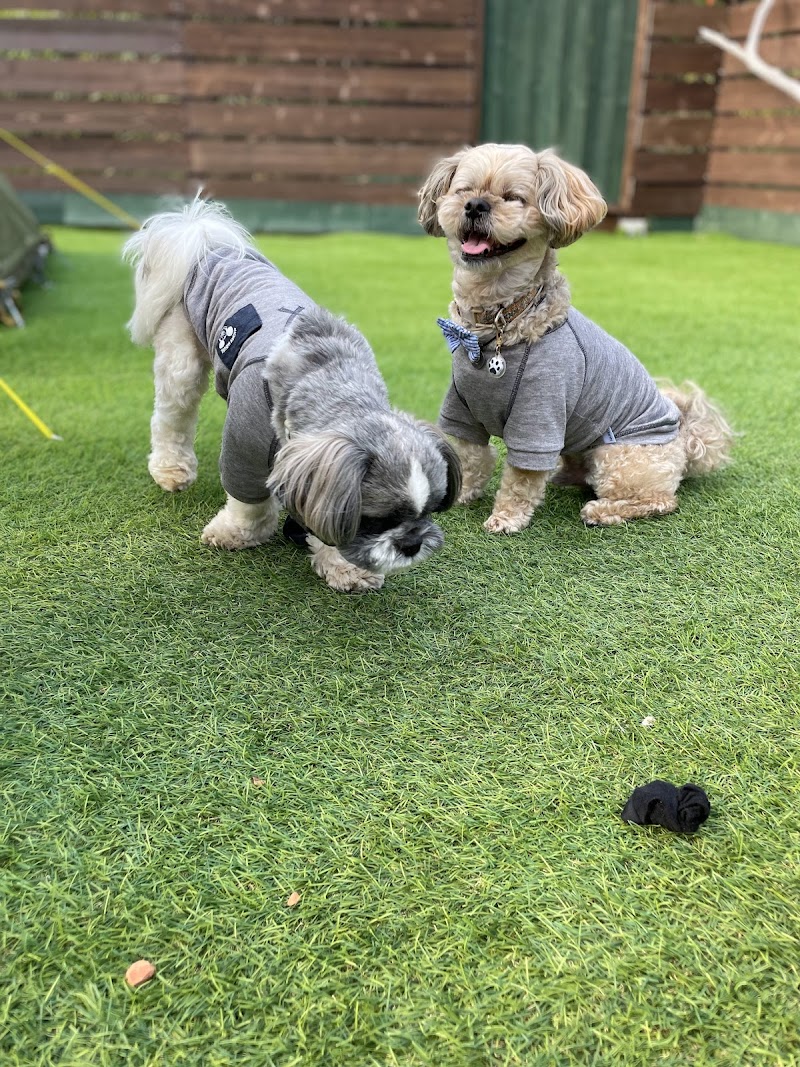 MBSドッグキャンプ場