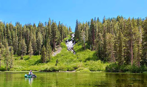 Troutfitter - Thumbnail
