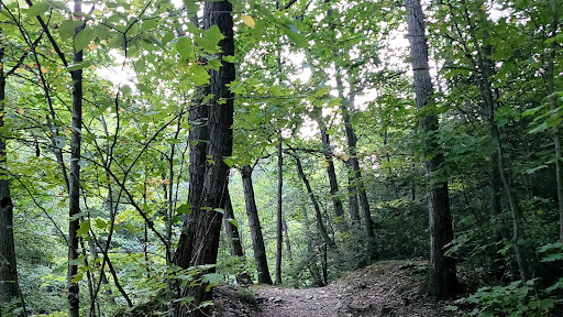 Science Hill - Thumbnail