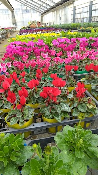 松村園芸 直売所