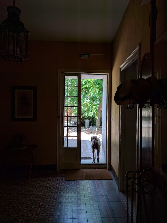 Can Casadella
