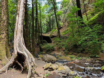 Starvation Creek State Park