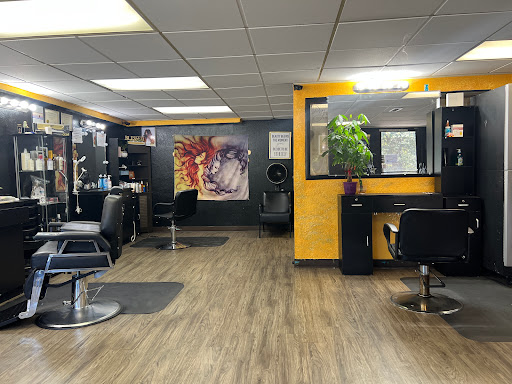 Eclipse salon - Visual