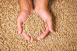 Photo n°10 de Sarl Raynaud bois de chauffage à Canet (Négociant en bois)