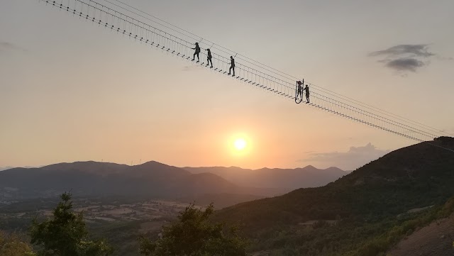 Bridge to the Moon