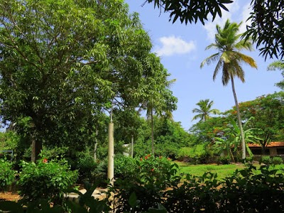 Photos of El Pelicano Apart-Hotel