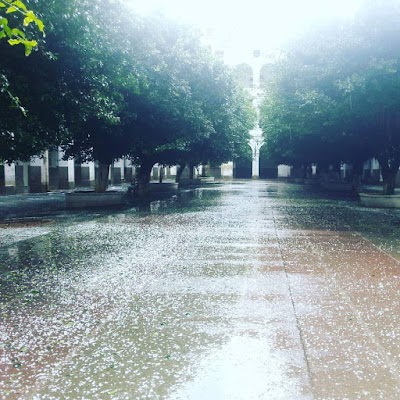 Photos of Lycee Emir Abdelkader
