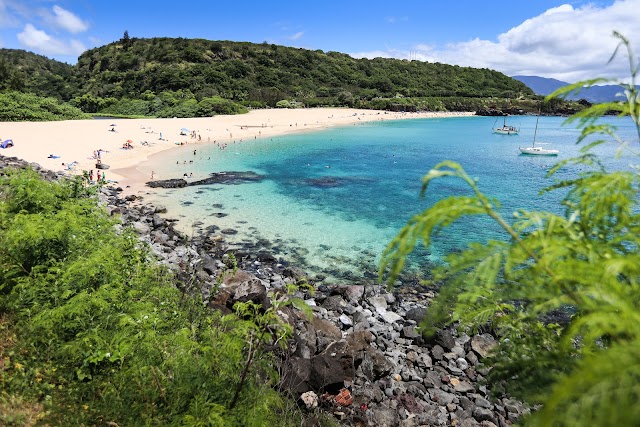 Waimea Bay Beach Park