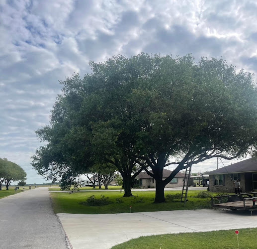 Cajun Tree & Lawn Service
