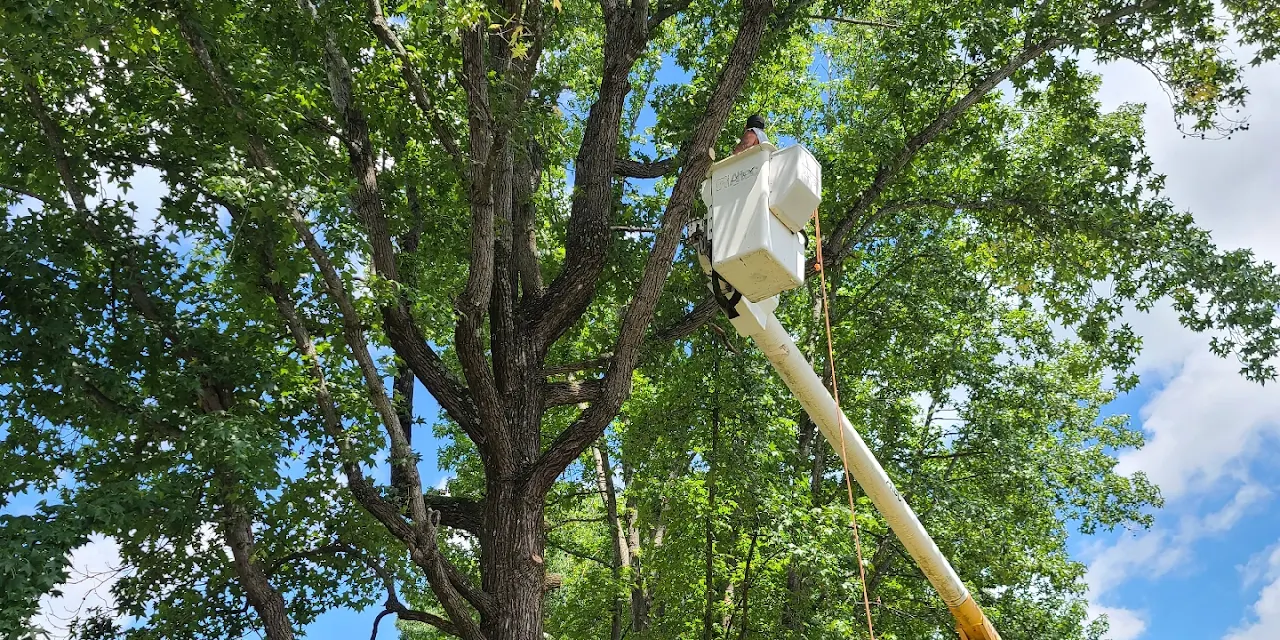 Smitty's Tree Service