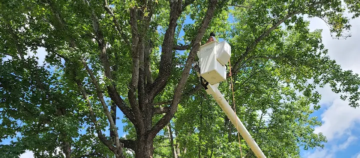 Smitty's Tree Service