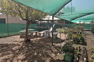 Zanel se Kosblik image