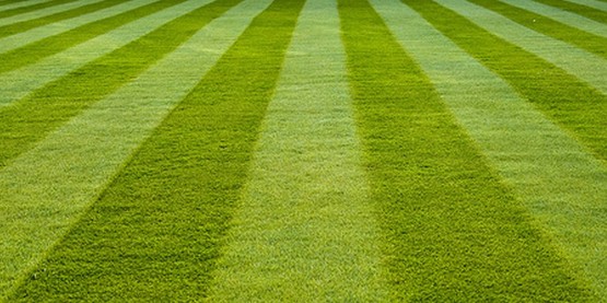 A-1 Lawn Service