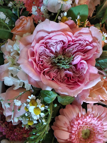 ΑΝΘΟΠΩΛΕΙΟ Λιονάκης Δημήτρης - Αθήνα