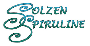 Photo n°10 de Solzen Spiruline à Soudan (Ferme aquacole)