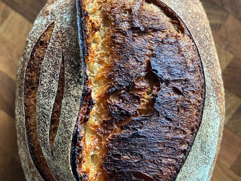 BRØD — photo