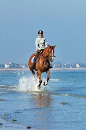 Photo n°7 de EARL CEO David AISSA à Ouistreham (Complexe sportif)