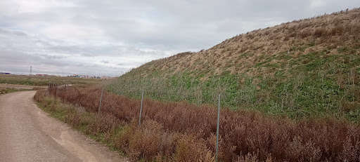 Cerro Conejeras