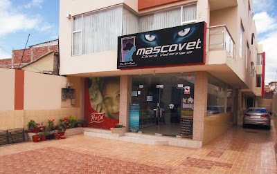 Photos of clinica veterinaria