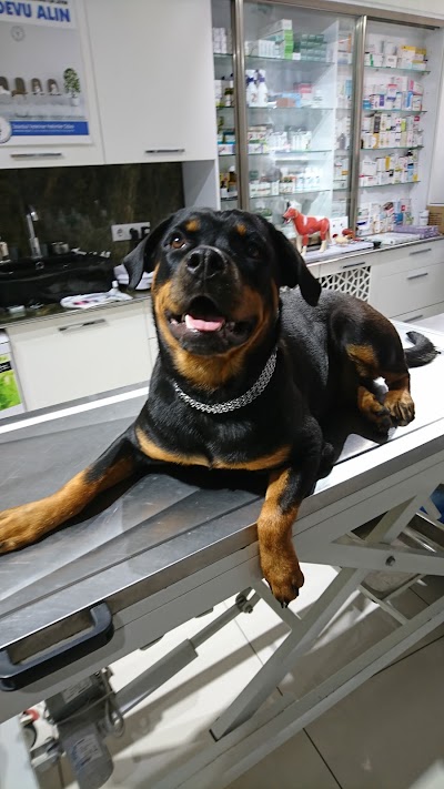 Photos of Ares Veteriner Klinigi
