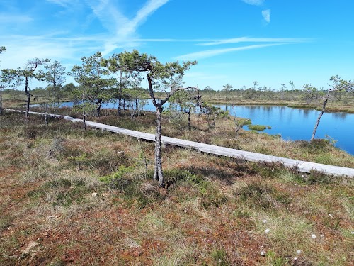 RMK Hüpassaare lõkkekoht