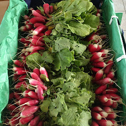 Photo n°2 de Au Fil Des Saisons Magasin paysan à Bouvron (Magasin)