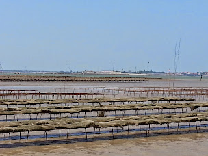 Photo n°6 de SARL HUITRES COCOLLOS (site de production) à Bourcefranc-le-Chapus (Ferme d'aquaculture)