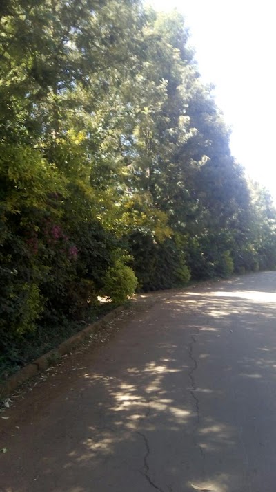 Photos of PCEA Kikuyu Mission Area