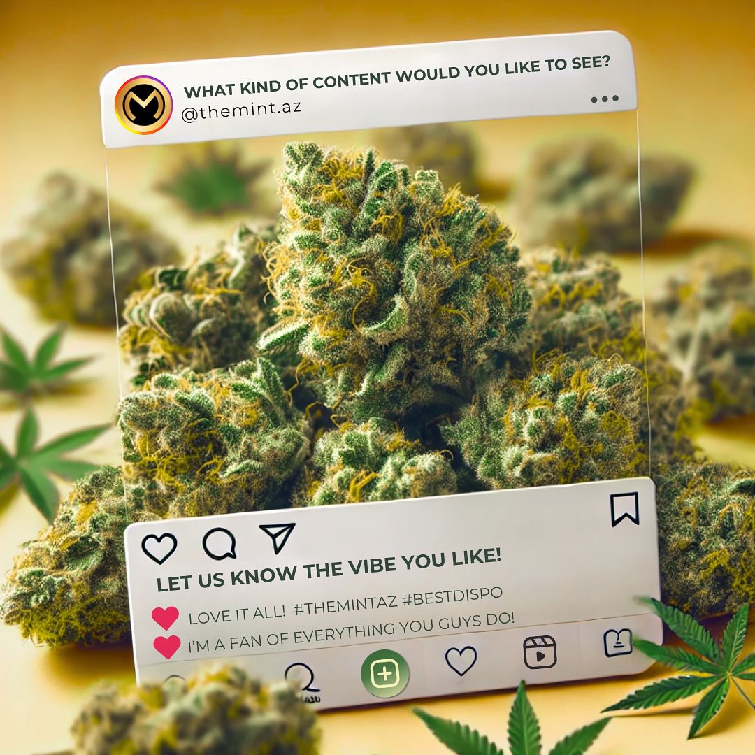 Mint Cannabis - Tempe photo 4