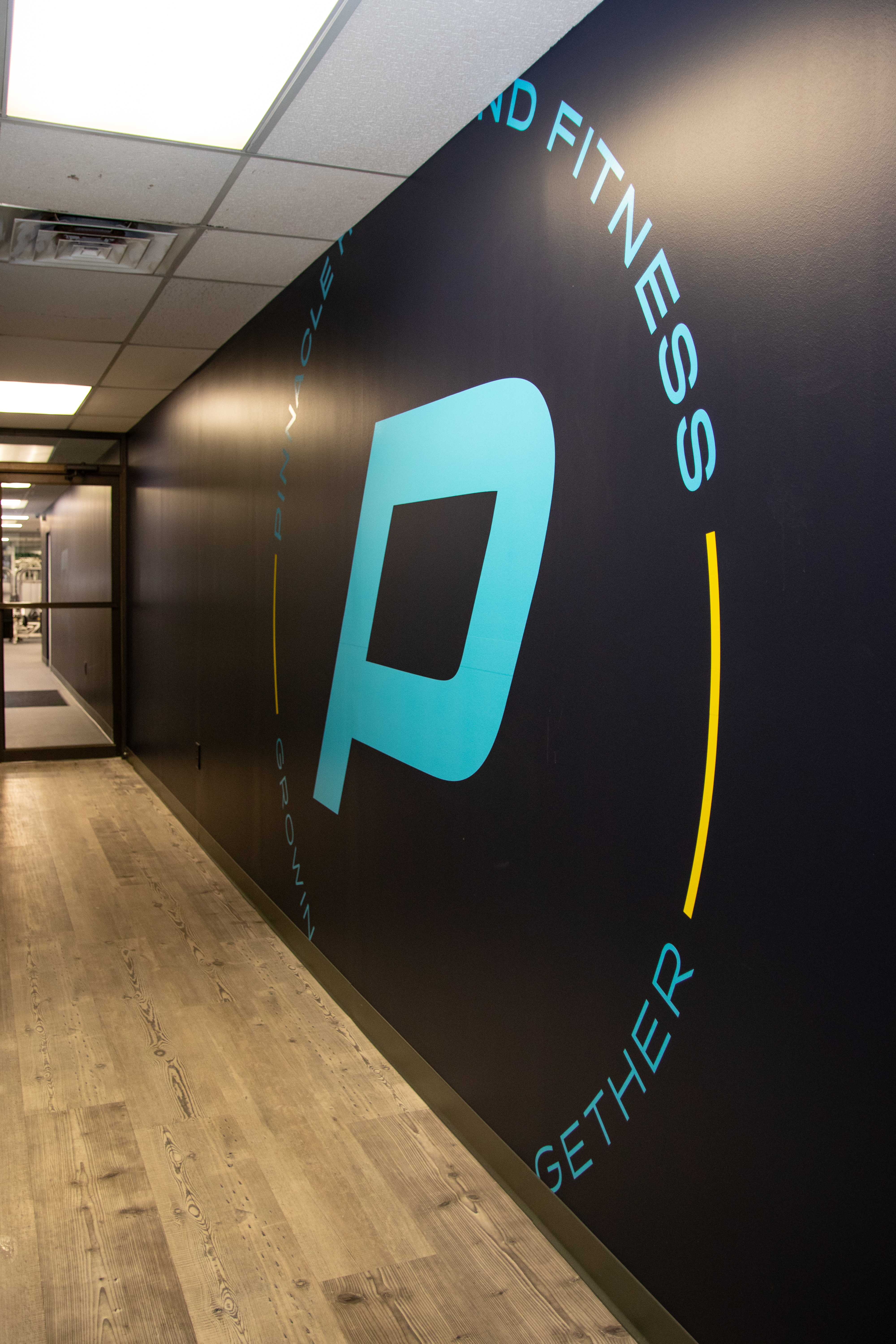 Pinnacle Health and Fitness photo 20