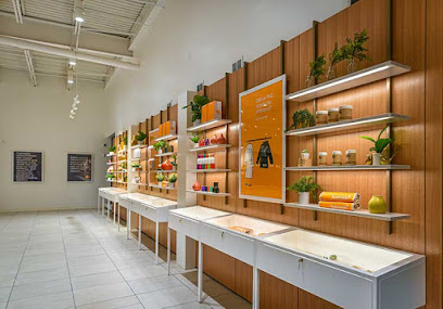 Sunnyside Recreational and Medical Marijuana Dispensary - Newark — photo 1