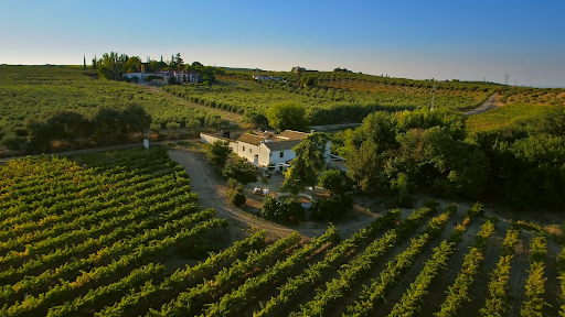 Bodega Boutique Finca Buytron