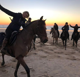 Photo n°11 de LES CRINS DE DERCE à Dercé (Pension pour chevaux)