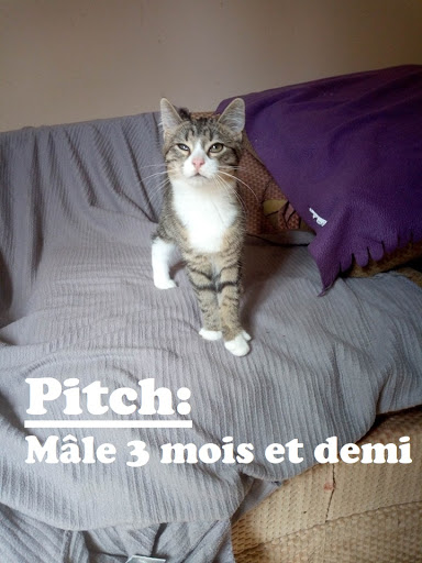 un espoir pour les sans voix