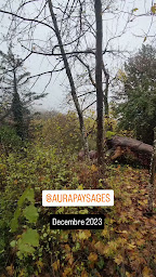 Photo n°19 de Aura Paysages à Lyon (Service d'élagage)