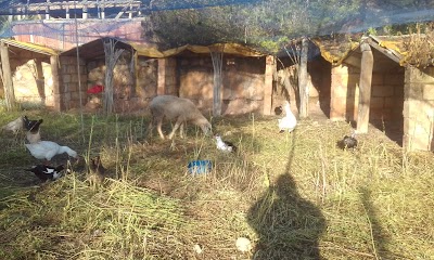Photos of L`Hacienda