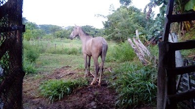 Photos of Rancho T&iacute;pico